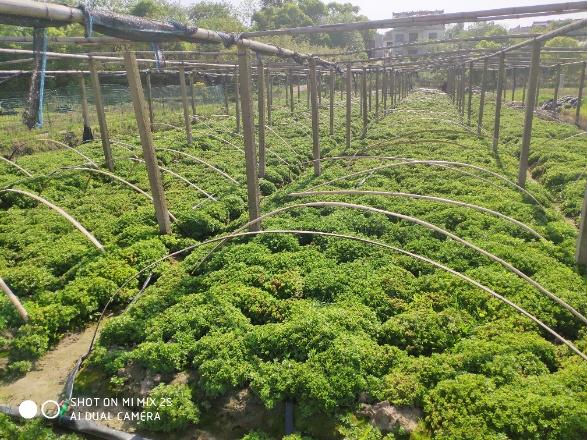 微信圖片_20200420164135_gaitubao_587x440.jpg