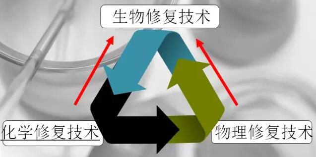 水體(tǐ)修複技術(shù) 水體(tǐ)修複技術(shù)